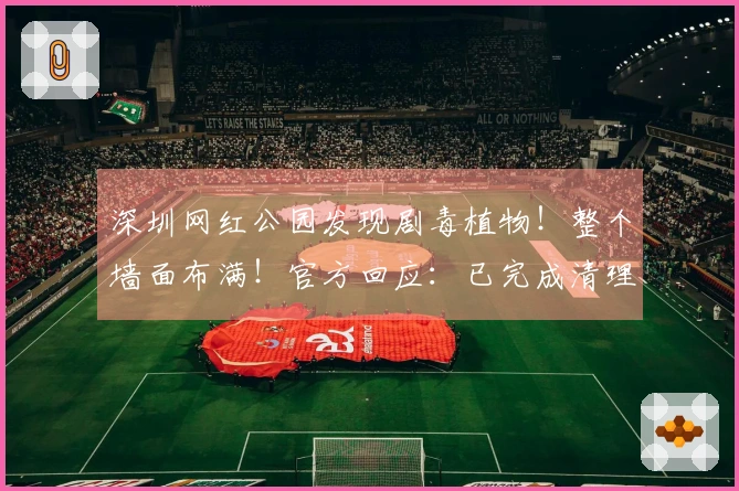 深圳网红公园发现剧毒植物！整个墙面布满！官方回应：已完成清理
