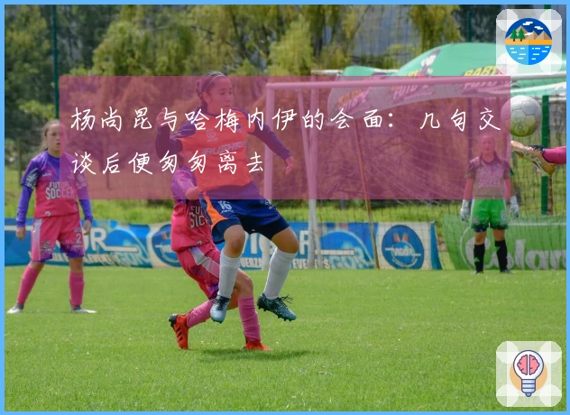 杨尚昆与哈梅内伊的会面：几句交谈后便匆匆离去